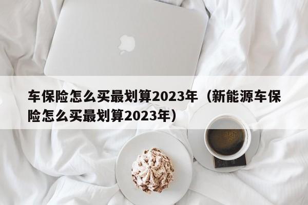 车保险怎么买最划算2023年（新能源车保险怎么买最划算2023年）