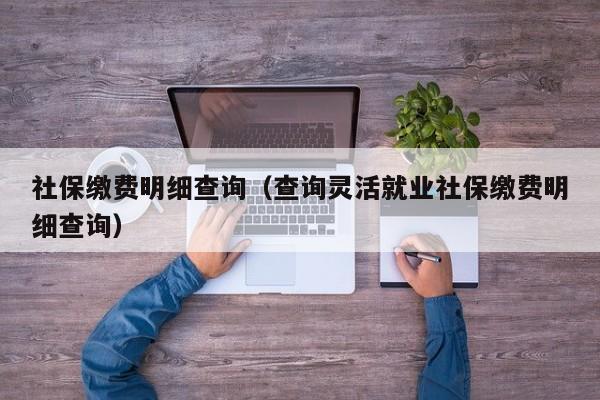 社保缴费明细查询（查询灵活就业社保缴费明细查询）