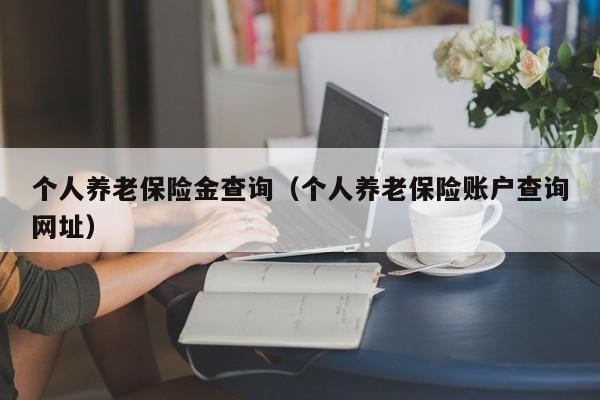 个人养老保险金查询（个人养老保险账户查询网址）