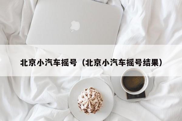 北京小汽车摇号（北京小汽车摇号结果）