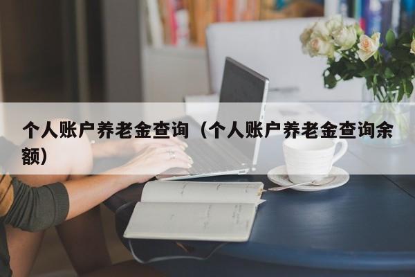 个人账户养老金查询（个人账户养老金查询余额）