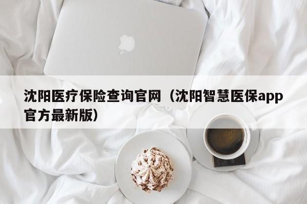 沈阳医疗保险查询官网（沈阳智慧医保app官方最新版）