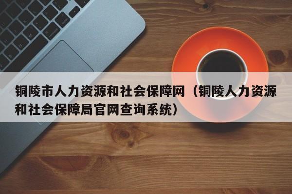 铜陵市人力资源和社会保障网（铜陵人力资源和社会保障局官网查询系统）