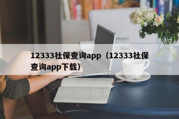 12333社保查询app（12333社保查询app下载）