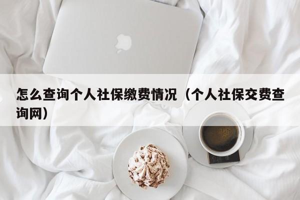 怎么查询个人社保缴费情况（个人社保交费查询网）