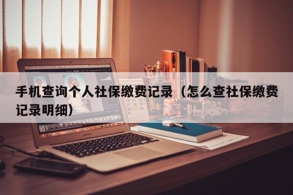 手机查询个人社保缴费记录（怎么查社保缴费记录明细）