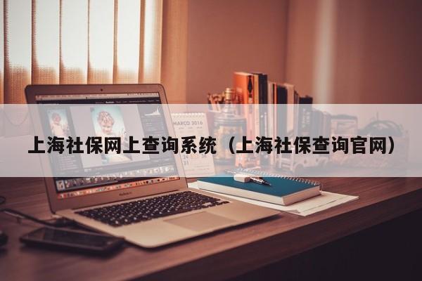 上海社保网上查询系统（上海社保查询官网）