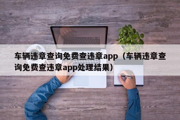 车辆违章查询免费查违章app（车辆违章查询免费查违章app处理结果）