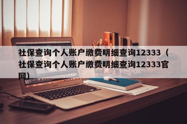 社保查询个人账户缴费明细查询12333（社保查询个人账户缴费明细查询12333官网）