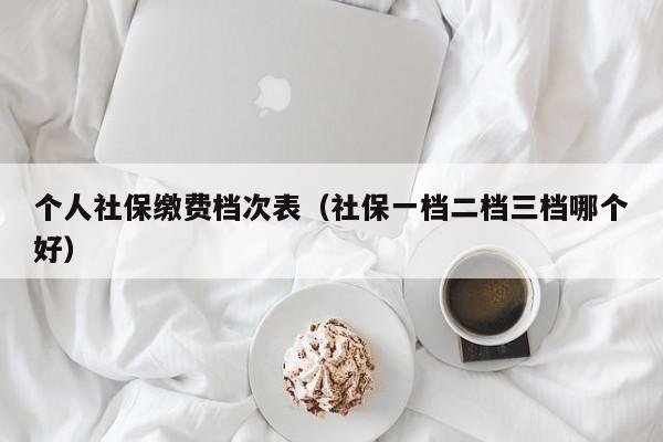 个人社保缴费档次表（社保一档二档三档哪个好）