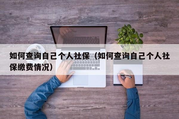 如何查询自己个人社保（如何查询自己个人社保缴费情况）