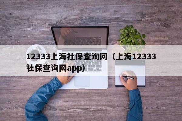 12333上海社保查询网（上海12333社保查询网app）