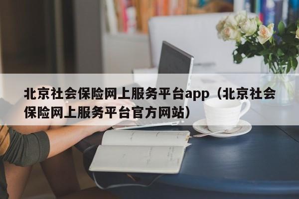 北京社会保险网上服务平台app（北京社会保险网上服务平台官方网站）