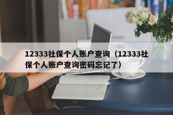 12333社保个人账户查询（12333社保个人账户查询密码忘记了）