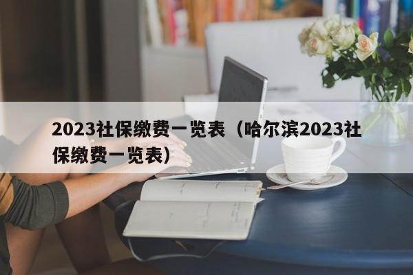 2023社保缴费一览表（哈尔滨2023社保缴费一览表）