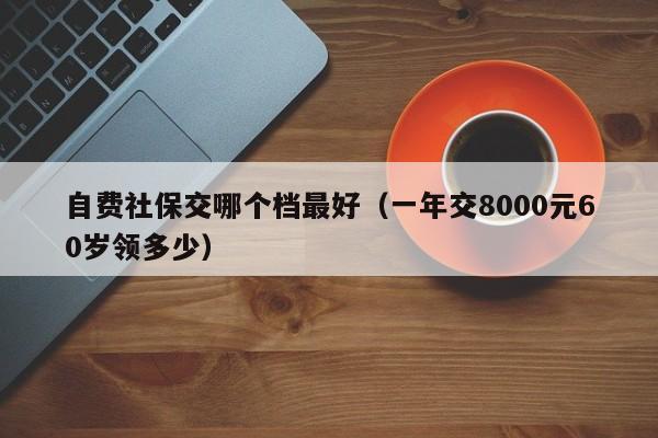 自费社保交哪个档最好（一年交8000元60岁领多少）