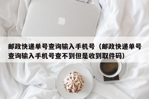 邮政快递单号查询输入手机号（邮政快递单号查询输入手机号查不到但是收到取件码）