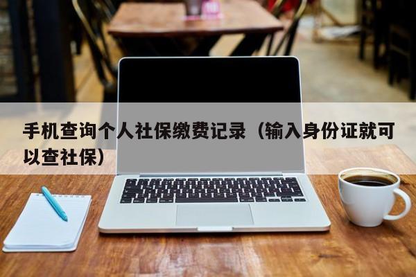 手机查询个人社保缴费记录（输入身份证就可以查社保）