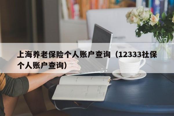 上海养老保险个人账户查询（12333社保个人账户查询）