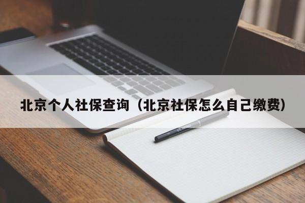 北京个人社保查询（北京社保怎么自己缴费）