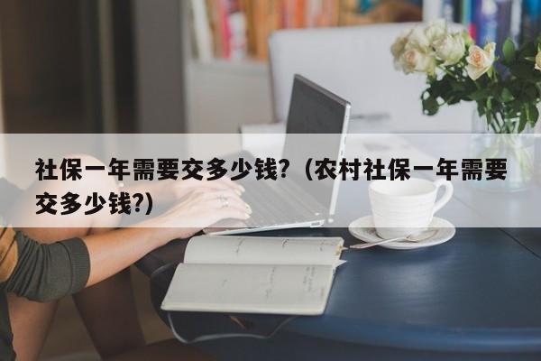 社保一年需要交多少钱?（农村社保一年需要交多少钱?）