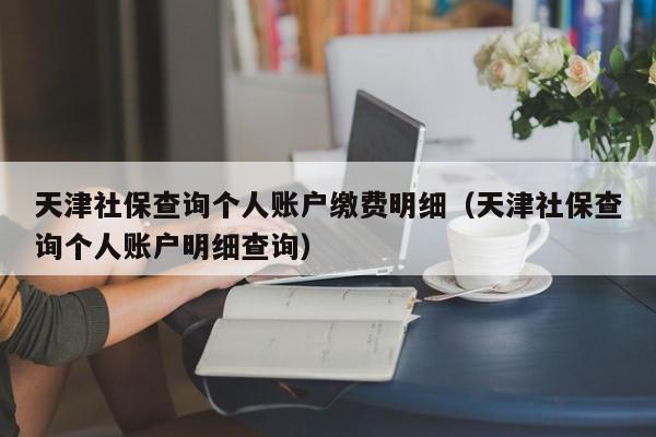 天津社保查询个人账户缴费明细（天津社保查询个人账户明细查询）