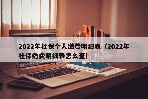 2022年社保个人缴费明细表（2022年社保缴费明细表怎么查）