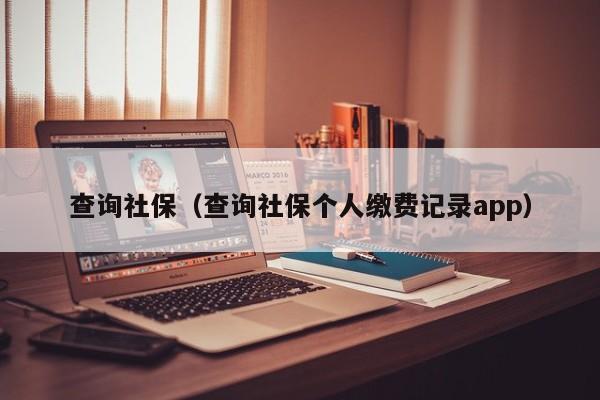 查询社保（查询社保个人缴费记录app）