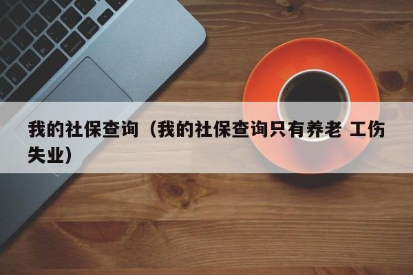 我的社保查询（我的社保查询只有养老 工伤失业）