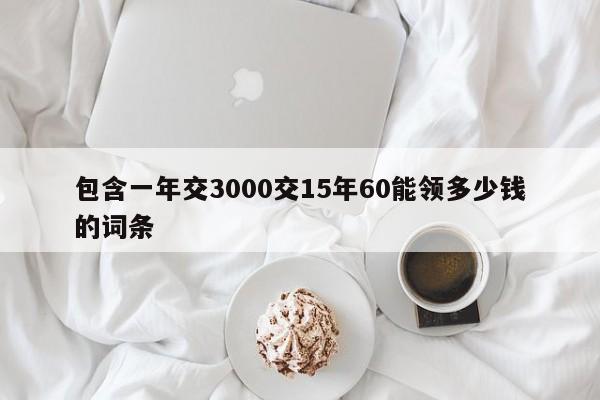 包含一年交3000交15年60能领多少钱的词条