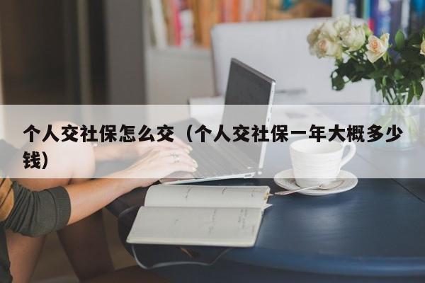 个人交社保怎么交（个人交社保一年大概多少钱）