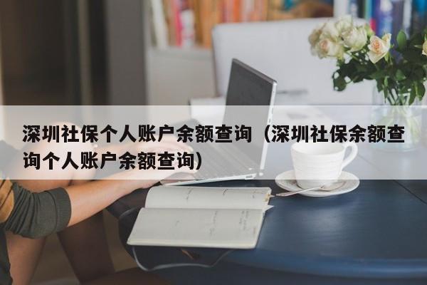 深圳社保个人账户余额查询（深圳社保余额查询个人账户余额查询）