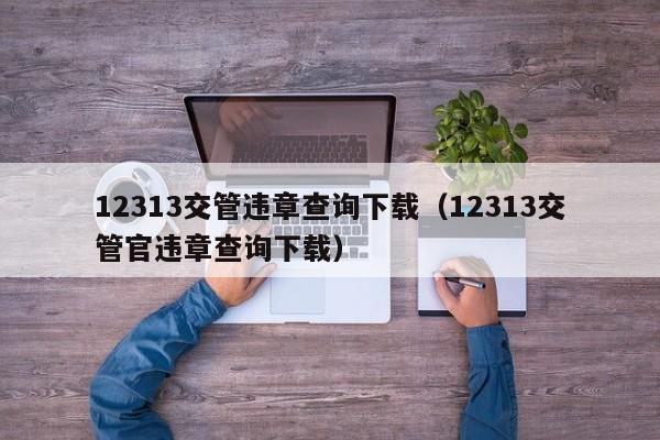 12313交管违章查询下载（12313交管官违章查询下载）