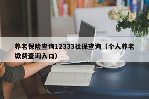 养老保险查询12333社保查询（个人养老缴费查询入口）