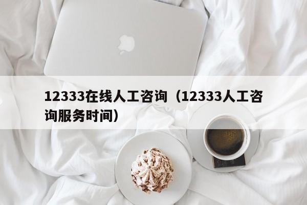 12333在线人工咨询（12333人工咨询服务时间）