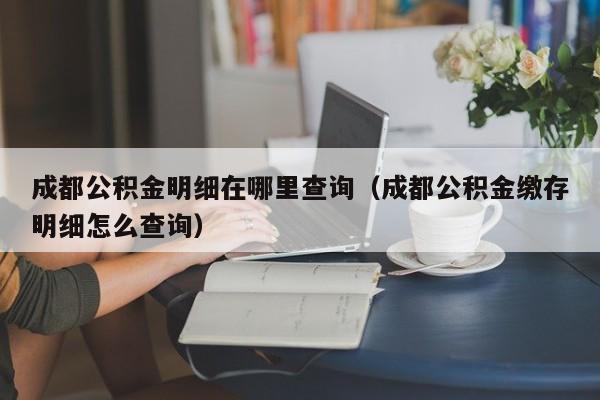 成都公积金明细在哪里查询（成都公积金缴存明细怎么查询）