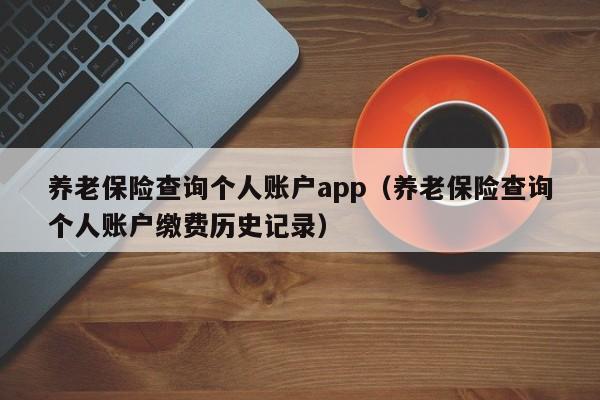 养老保险查询个人账户app（养老保险查询个人账户缴费历史记录）