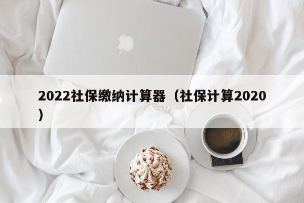 2022社保缴纳计算器（社保计算2020）