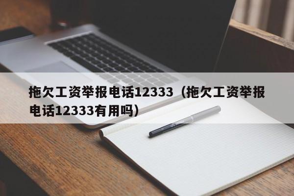 拖欠工资举报电话12333（拖欠工资举报电话12333有用吗）