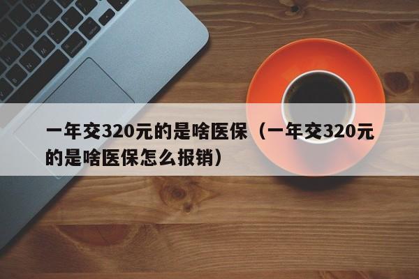 一年交320元的是啥医保（一年交320元的是啥医保怎么报销）