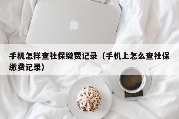 手机怎样查社保缴费记录（手机上怎么查社保缴费记录）