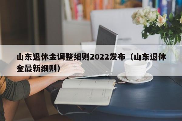 山东退休金调整细则2022发布（山东退休金最新细则）