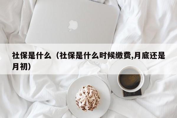 社保是什么（社保是什么时候缴费,月底还是月初）