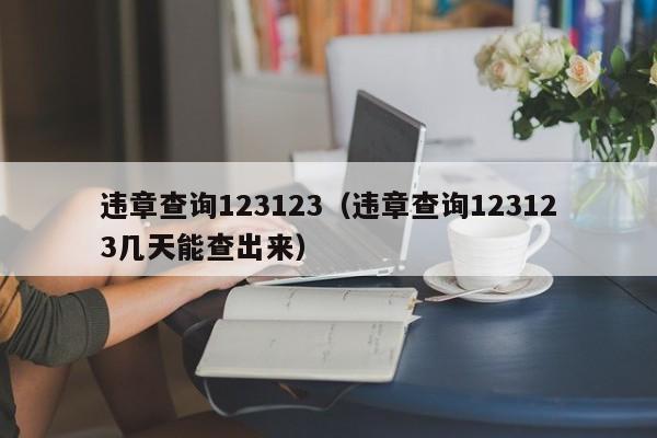 违章查询123123（违章查询123123几天能查出来）