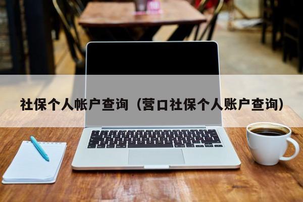 社保个人帐户查询（营口社保个人账户查询）