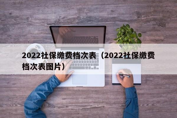 2022社保缴费档次表（2022社保缴费档次表图片）