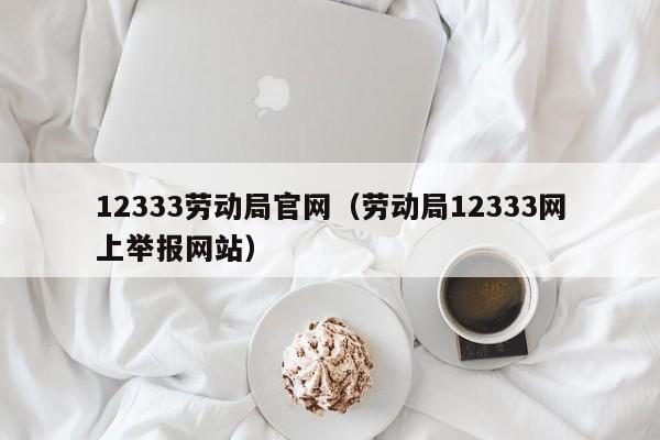 12333劳动局官网（劳动局12333网上举报网站）