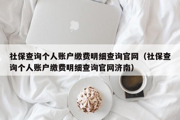 社保查询个人账户缴费明细查询官网（社保查询个人账户缴费明细查询官网济南）