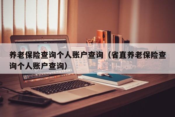 养老保险查询个人账户查询（省直养老保险查询个人账户查询）