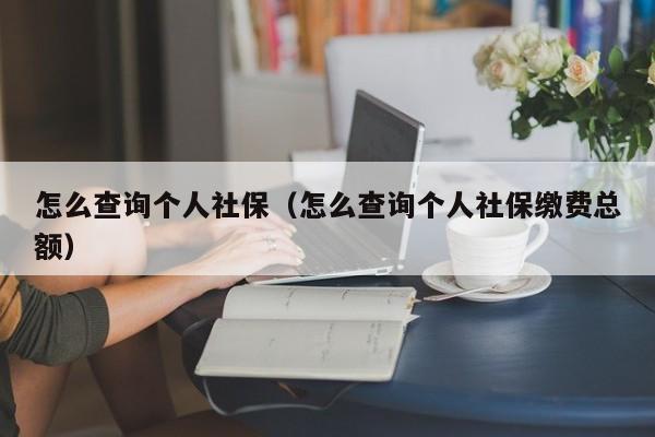 怎么查询个人社保（怎么查询个人社保缴费总额）